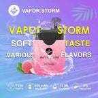 VAPOR STORM風暴拋棄式7500口 一次性電子煙